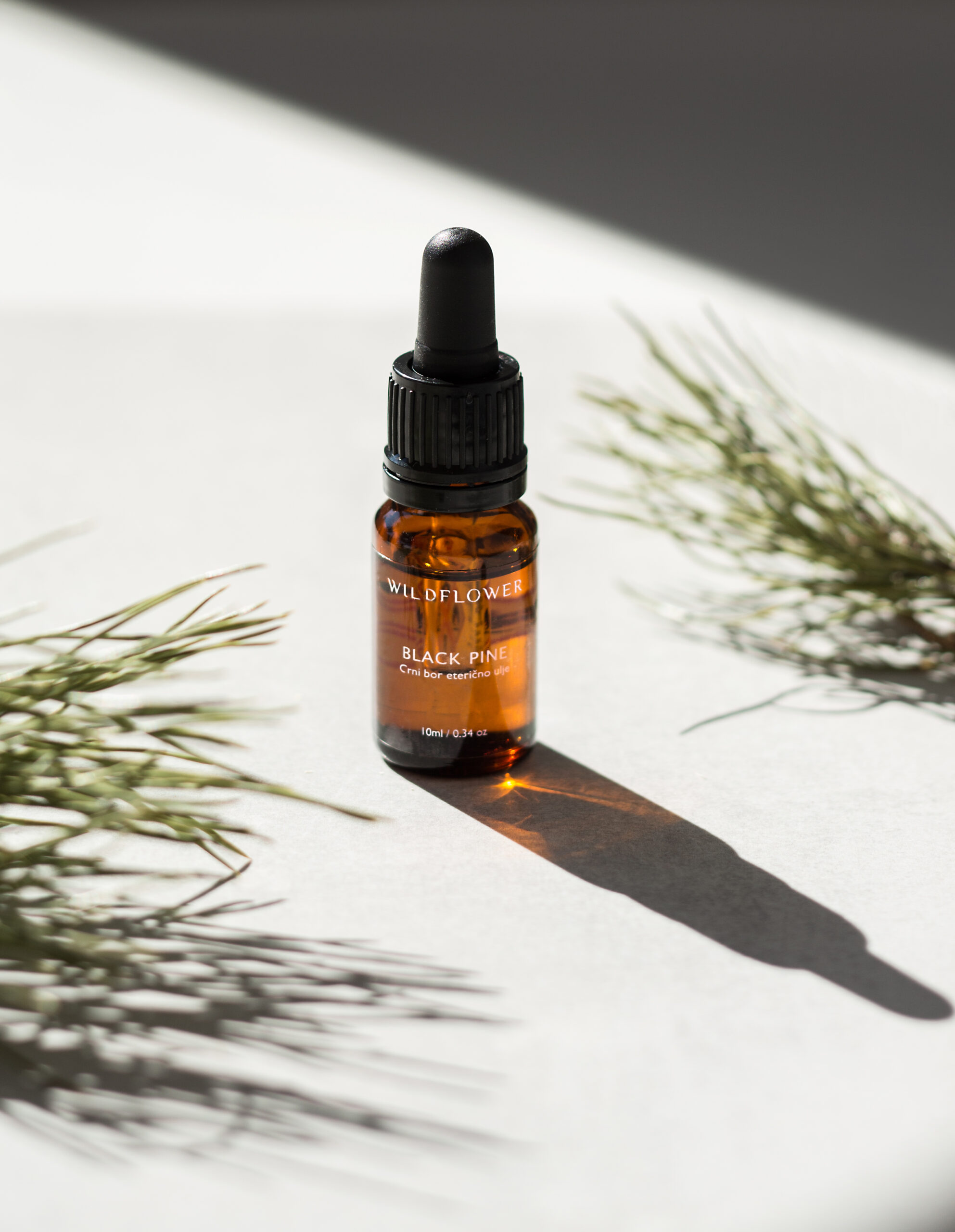 Black pine